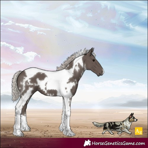 Horse Color:White Spotted Silver Black Tobiano 