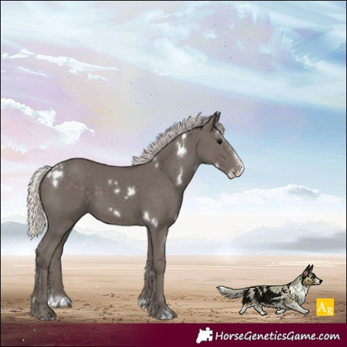 Horse Color:White Spotted Silver Smoky Black Splash 