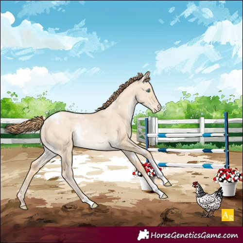 Horse Color:White Spotted Buckskin Pearl Dun Tobiano Varnish Rabicano 