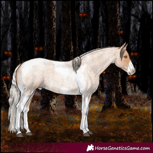 Horse Color:Silver Blue Roan Pearl Tobiano Frame