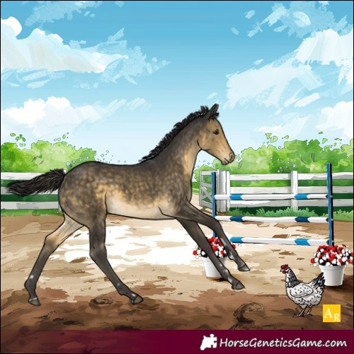 Horse Color:Buckskin
