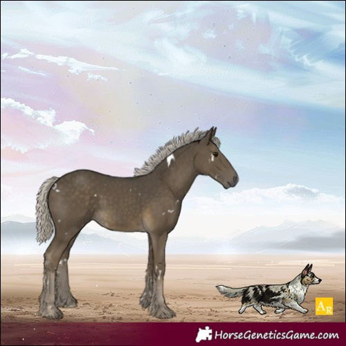 Horse Color:White Spotted Silver Smoky Black