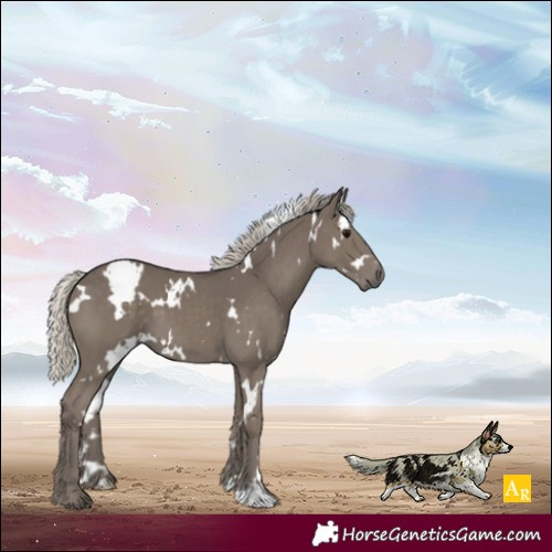 Horse Color:White Spotted Silver Smoky Black