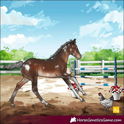 Horse Color:White Spotted Silver Brown Tobiano Varnish Rabicano 