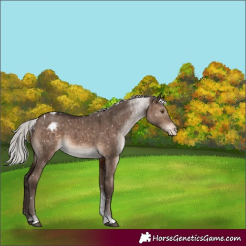 Horse Color:Silver Brown Dun Mushroom Tobiano Blanket Brindle