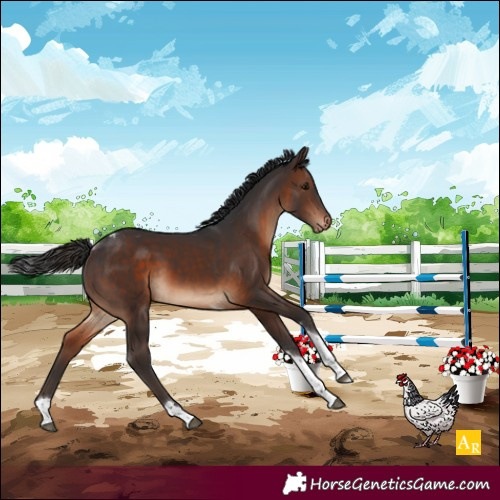 Horse Color:Brown Tobiano Blanket Rabicano 