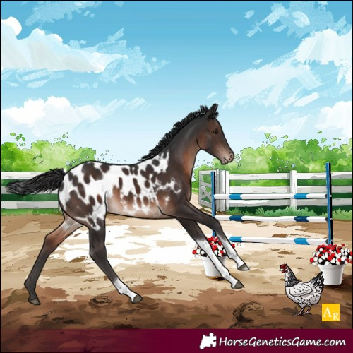 Horse Color:Brown Mushroom Tobiano Near Leopard 