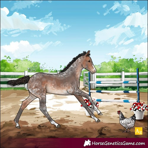 Horse Color:Bay Ice 