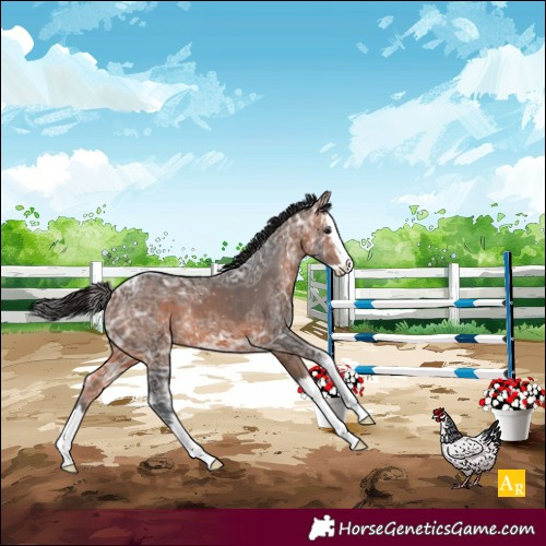 Horse Color:Bay Ice Splash