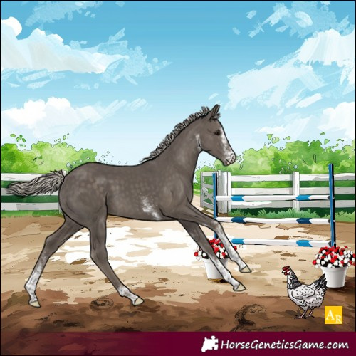 Horse Color:White Spotted Silver Smoky Black