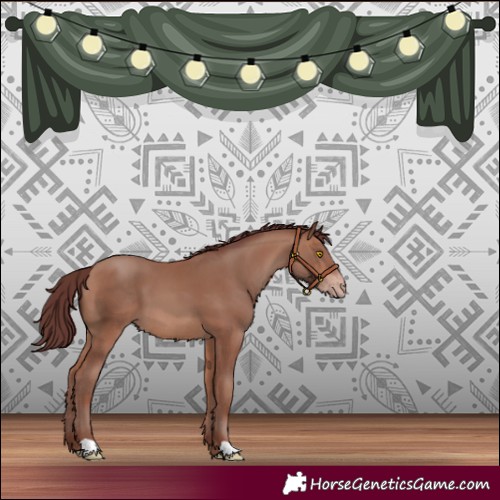 Horse Color:Chocolate Sable Champagne