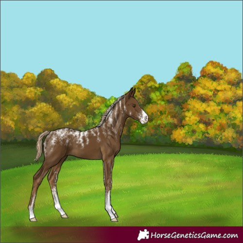 Horse Color:Powder White Chocolate Palomino Mushroom