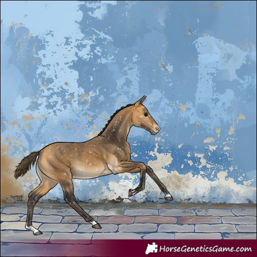 Horse Color:Buckskin Snowflake Varnish 