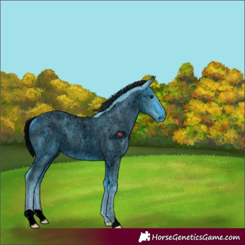 Horse Color:ERROR: UNKNOWN ANOMALY