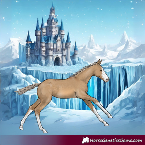 Horse Color:White Spotted Chocolate Palomino Dun