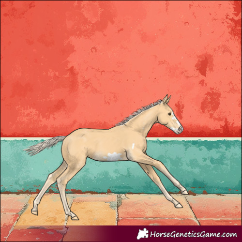 Horse Color:Palomino Frame 