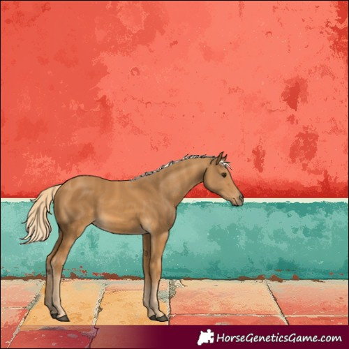 Horse Color:Palomino 