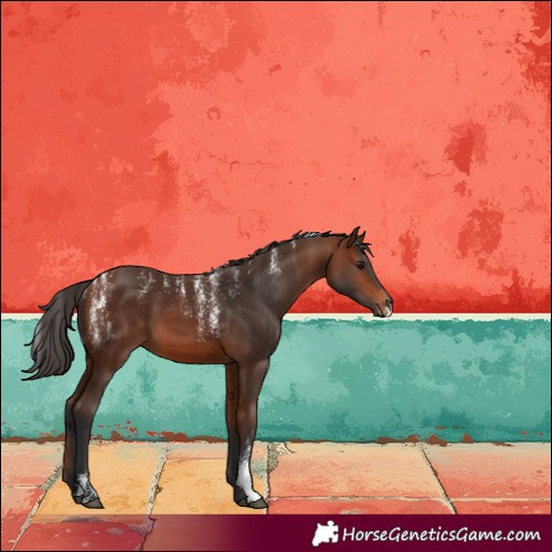 Horse Color:Powder White Bay 