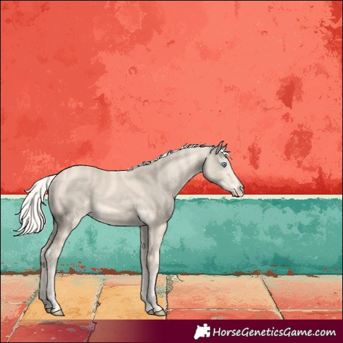 Horse Color:Cremello 