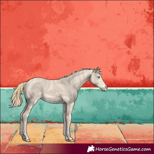 Horse Color:Perlino