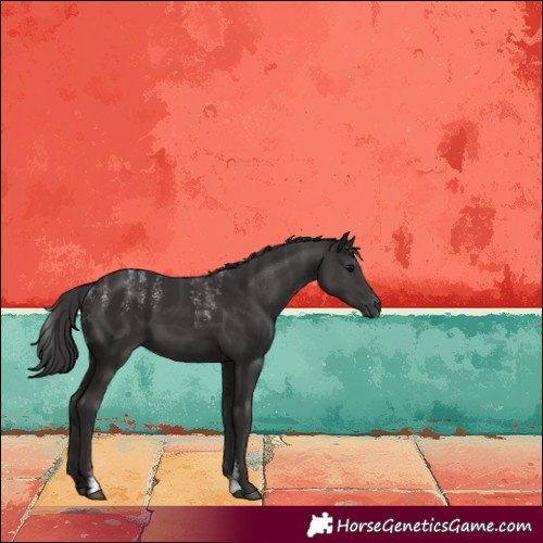 Horse Color:Powder White Smoky Black