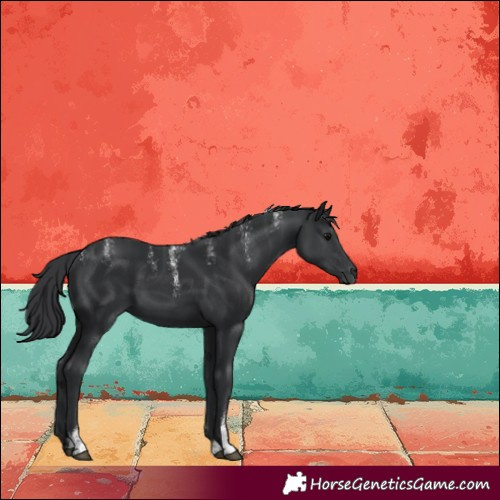 Horse Color:Powder White Black 