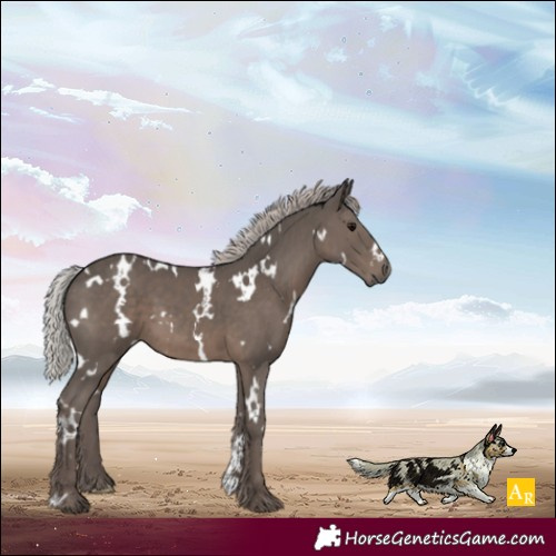 Horse Color:White Spotted Silver Black Mushroom