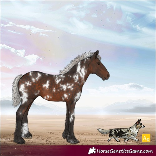 Horse Color:White Spotted Silver Brown