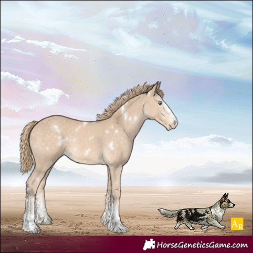 Horse Color:White Spotted Perlino 