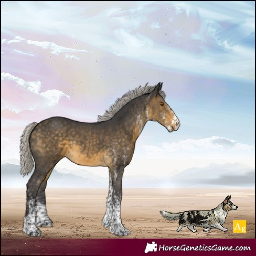 Horse Color:White Spotted Silver Buckskin Rabicano