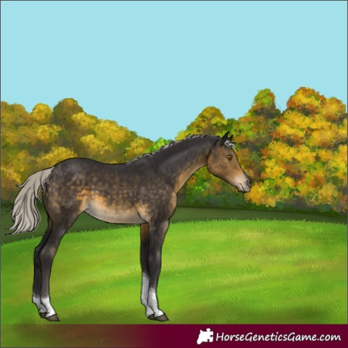 Horse Color:Silver Buckskin Tobiano