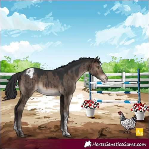 Horse Color:Brown Dun Tobiano Varnish Rabicano Brindle 
