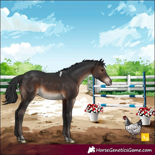 Horse Color:Brown Tobiano Rabicano 