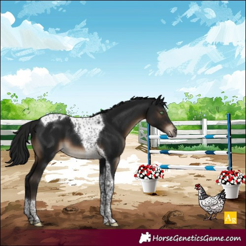 Horse Color:Gray Brown Mushroom Tobiano Varnish 