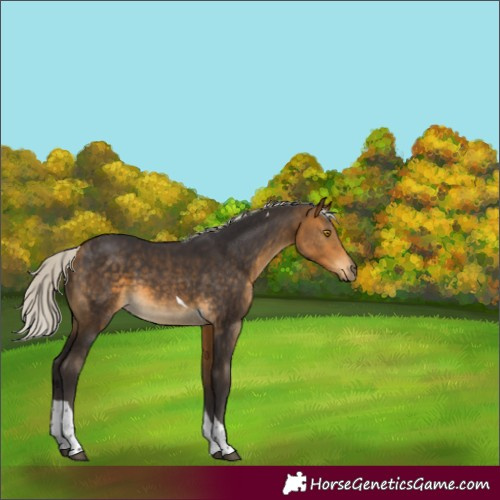Horse Color:Silver Buckskin Tobiano 