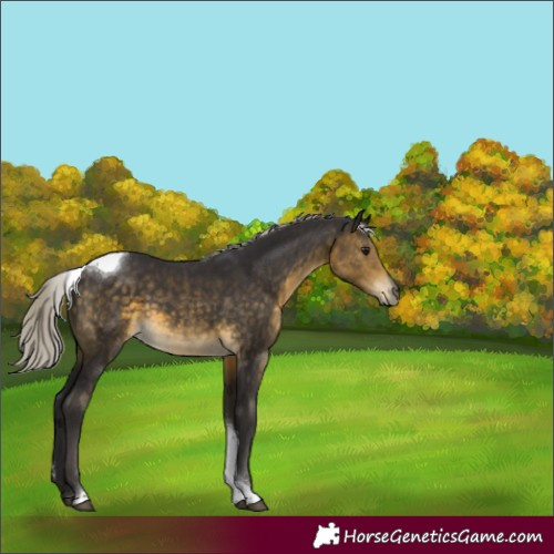 Horse Color:Silver Buckskin Tobiano