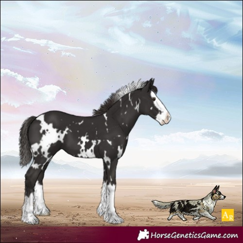 Horse Color:White Spotted Liver Chestnut Splash 