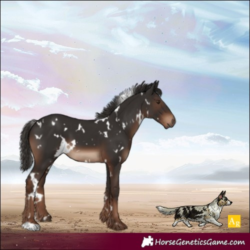 Horse Color:White Spotted Liver Chestnut