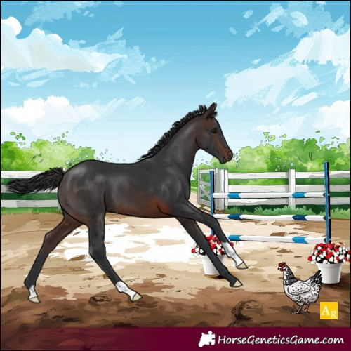Horse Color:Brown 