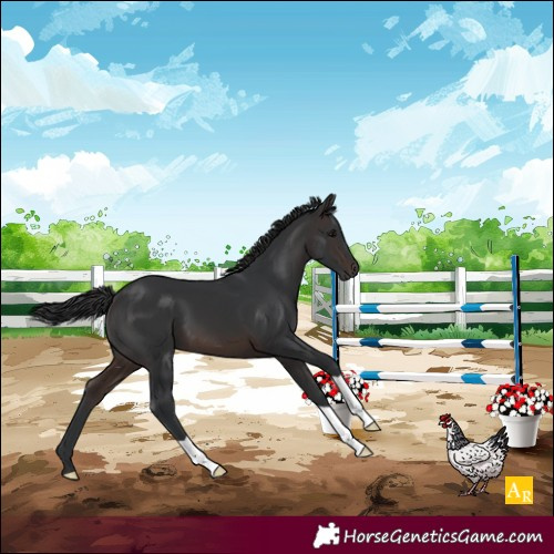 Horse Color:Brown 