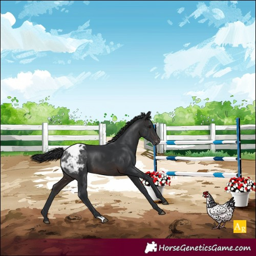 Horse Color:Brown Varnish 