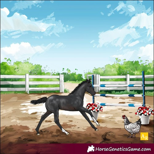 Horse Color:Brown 