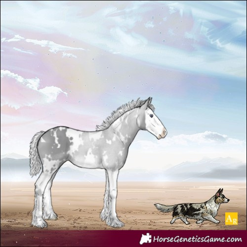 Horse Color:White Spotted Silver Brown Chinchilla Dun Splash 