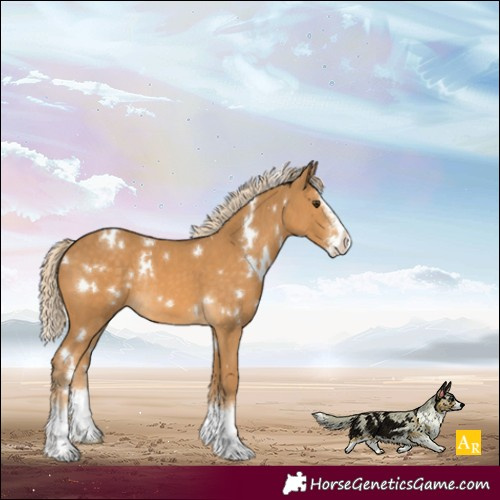 Horse Color:White Spotted Palomino Sabino Splash Rabicano 