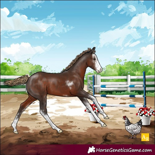 Horse Color:Liver Chestnut Sabino 