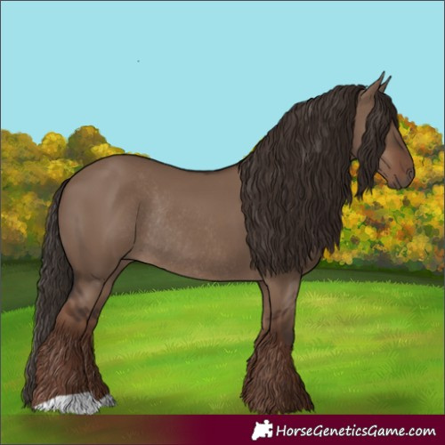 Horse Color:Liver Red Dun Rabicano