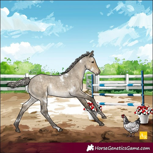 Horse Color:White Spotted Silver Smoky Grullo Roan Rabicano 