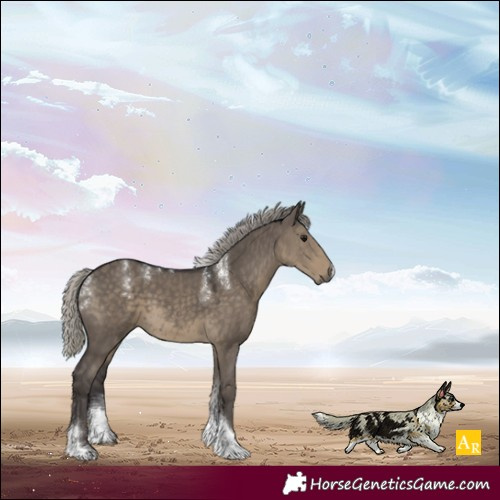 Horse Color:Powder White Silver Smoky Grullo Tobiano Rabicano