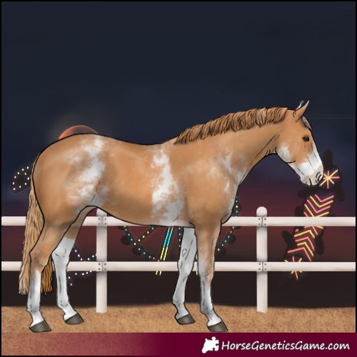 Horse Color:Unknown 