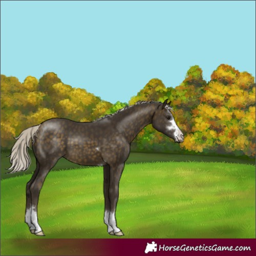 Horse Color:Silver Buckskin